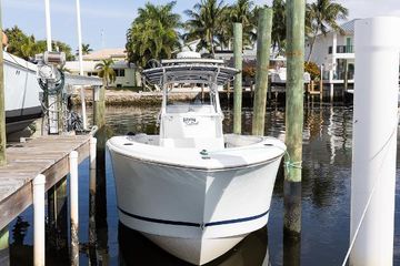 2003 Palmetto Adventure 290