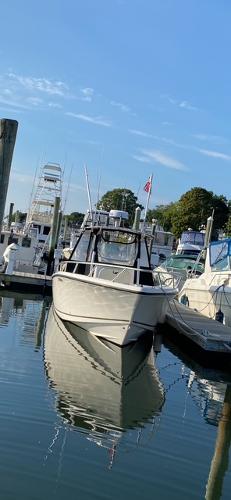 Mako 284 CC