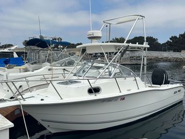 2008 Sea Pro 238 Walk Around