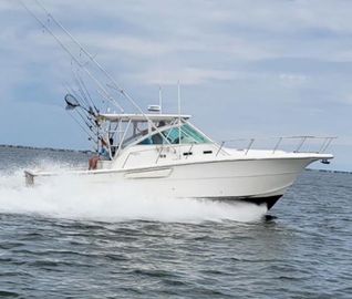2000 Rampage 38 Express