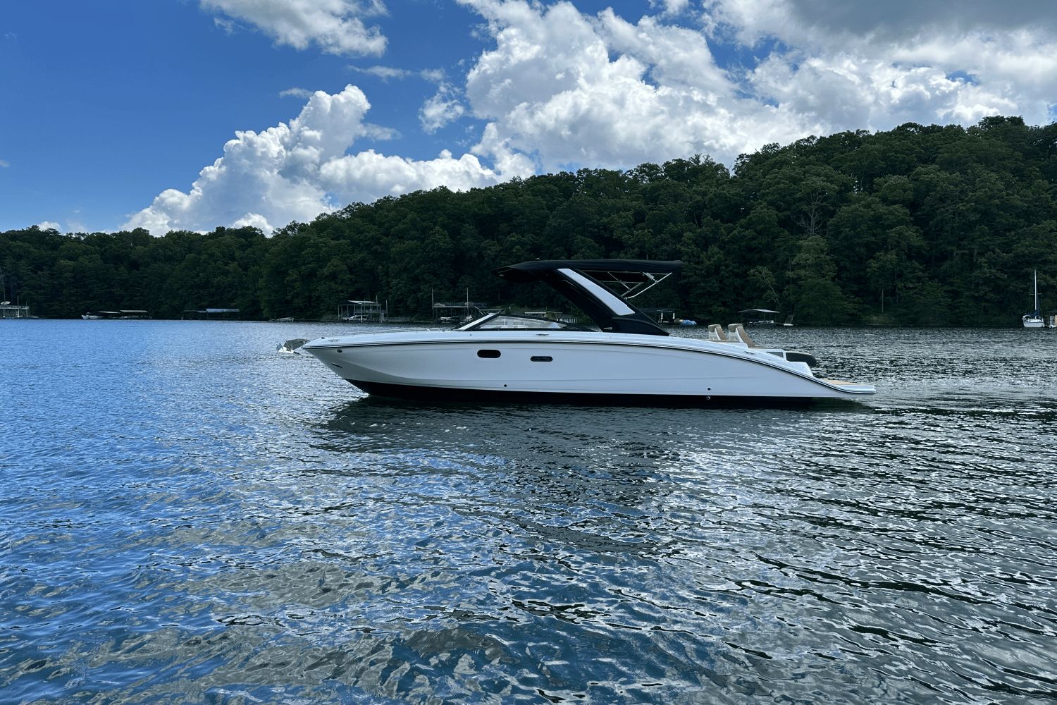 2026 Sea Ray SDX 290