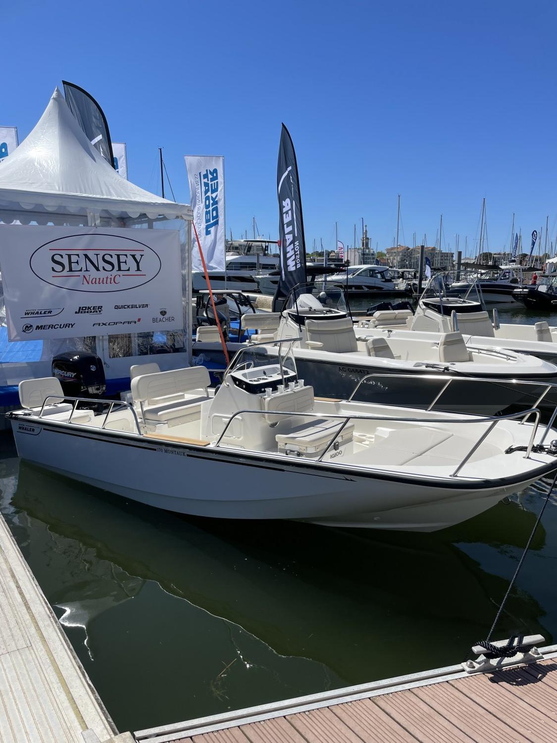 Boston Whaler 170 Montauk