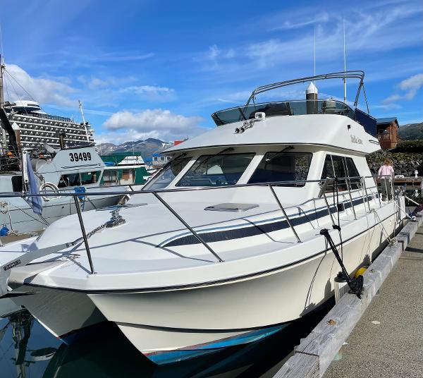 2003 Zeta Powercat 36