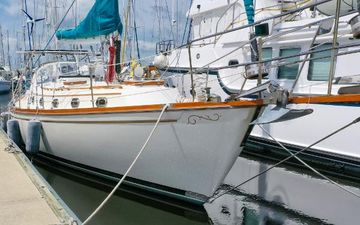 1998 Shannon 43