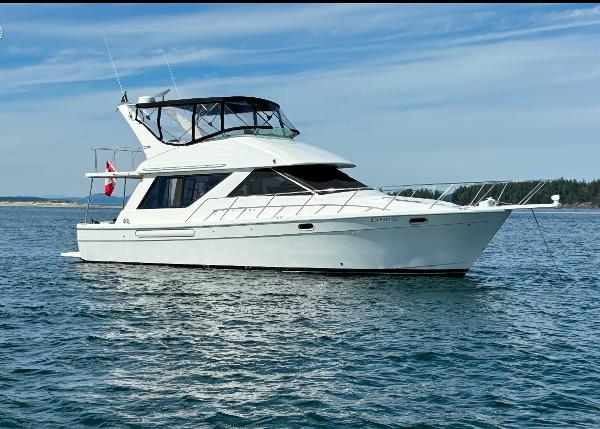 Bayliner 3988