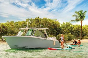 2025 Sailfish 316 DC