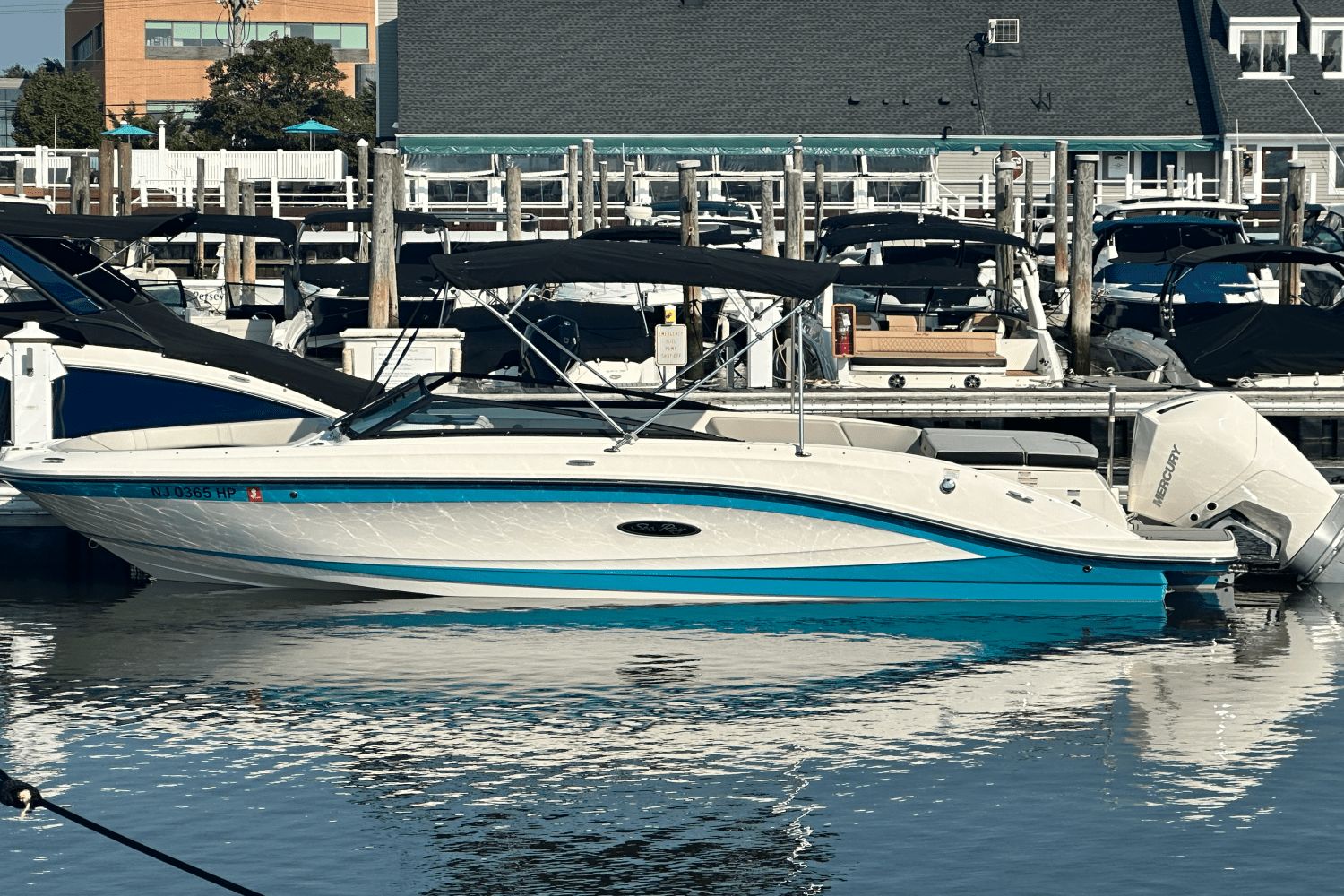 Sea Ray SPX 230 Outboard