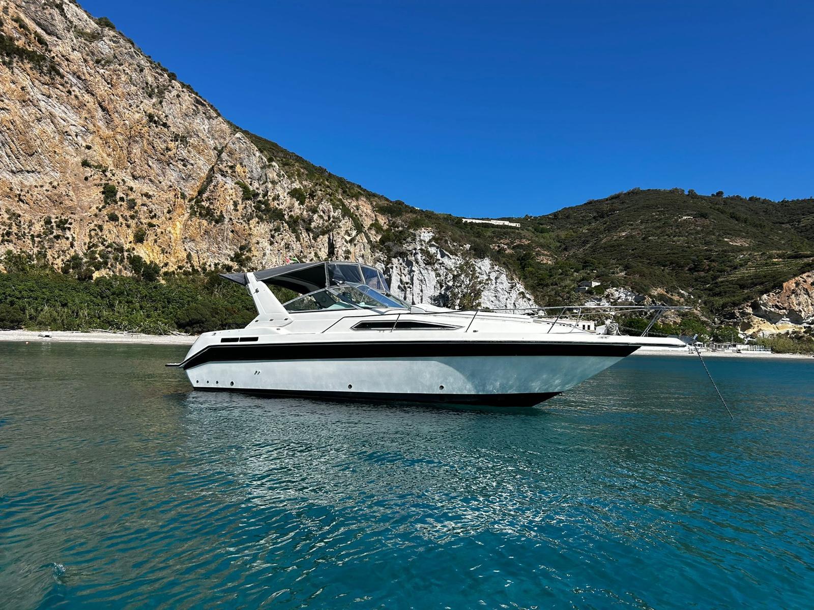 1990 Sea Ray 290 Sundancer