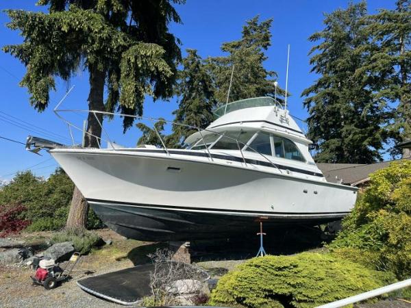 1975 Bertram 355