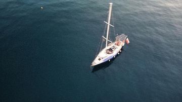 1983 Nelson 46