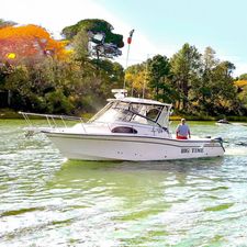 Grady-White Marlin 300 2005 Grady-White Marlin 300 boat on water, with trees in the background.
