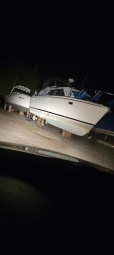 Trojan F36 Tri Cabin