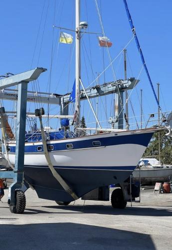 Sea Star 46