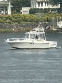 1993 Luhrs Tournament 290 Open