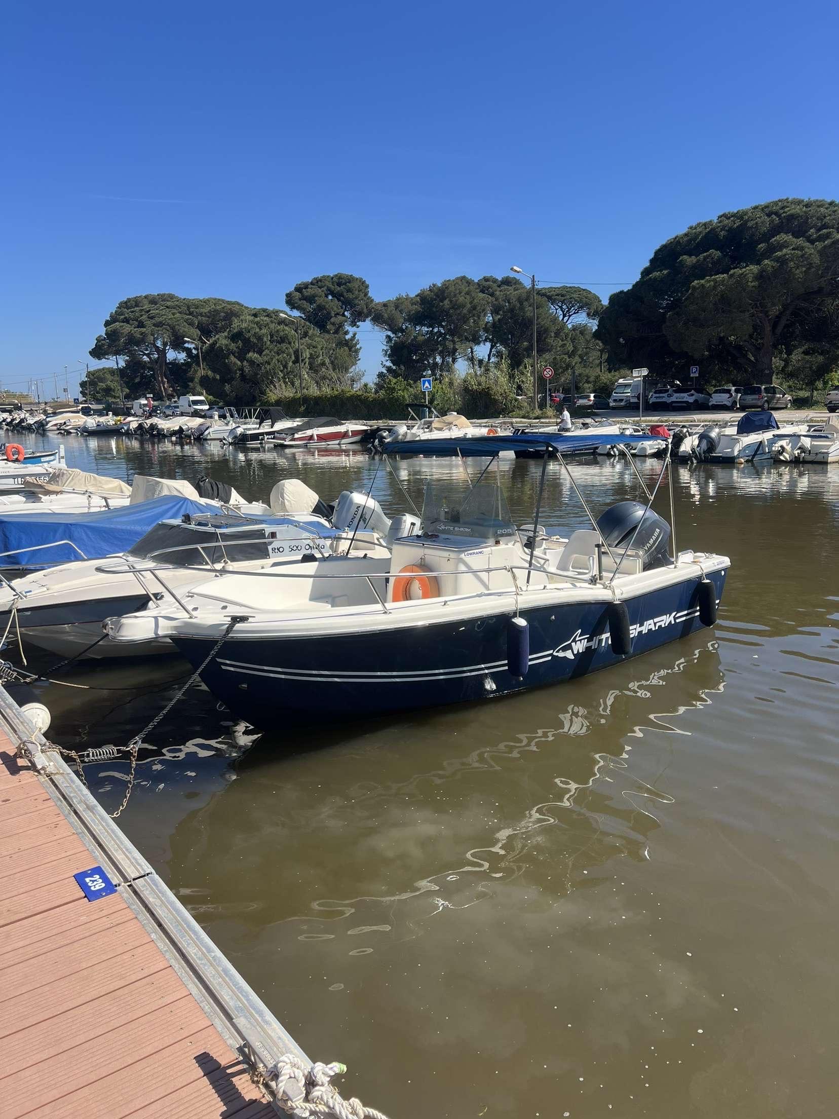 1999 Kelt White Shark 205