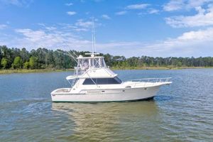 Bertram 42 Convertible 1981 Bertram 42 Convertible Balls to the Wall Profile