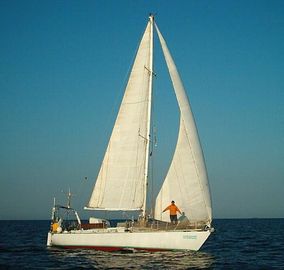 1994 Moana Malingri 39
