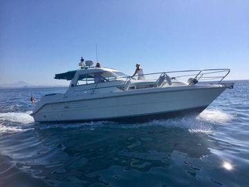 1994 Hardy Seawings 305