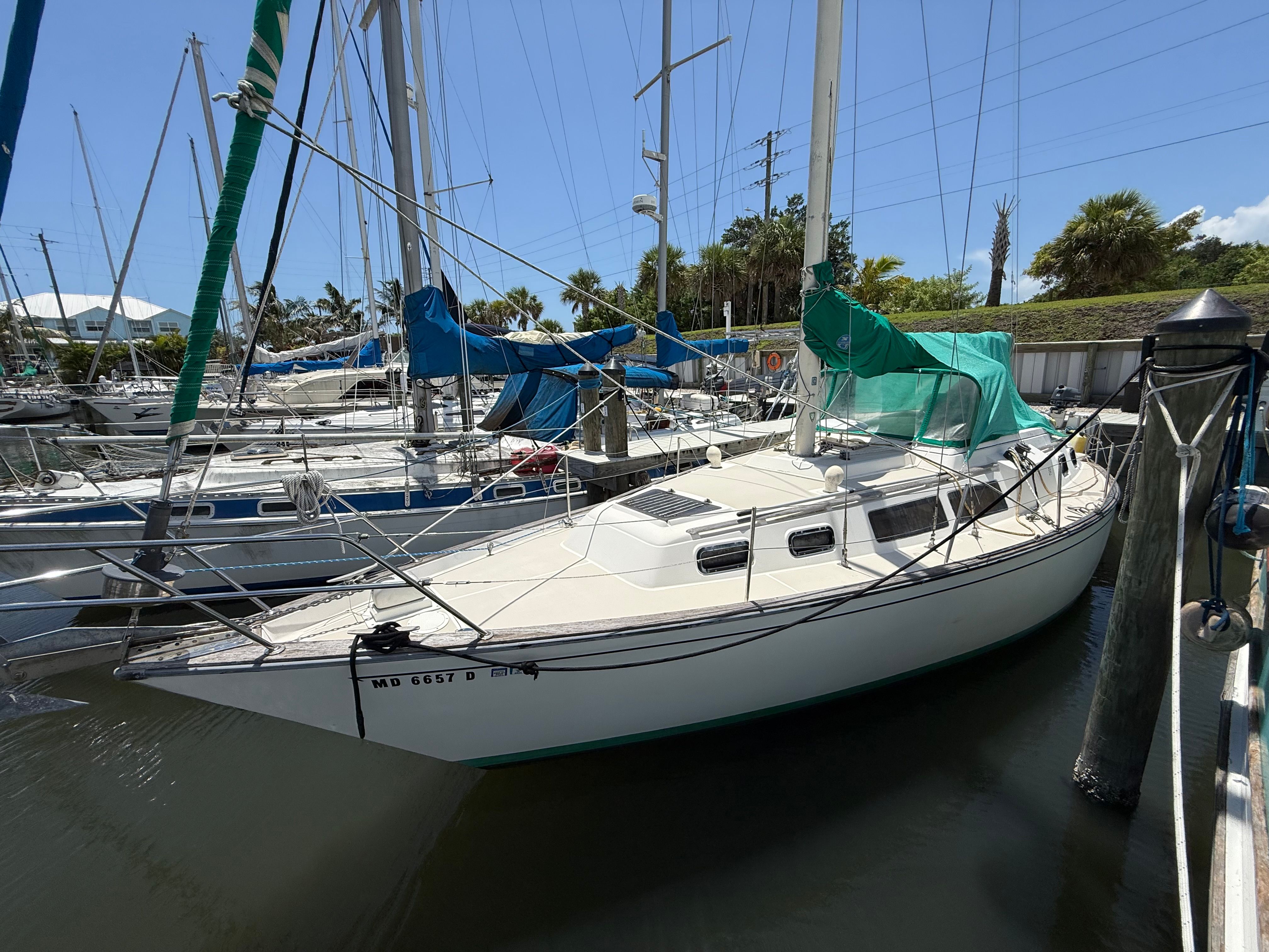 1984 S2 11.0 C