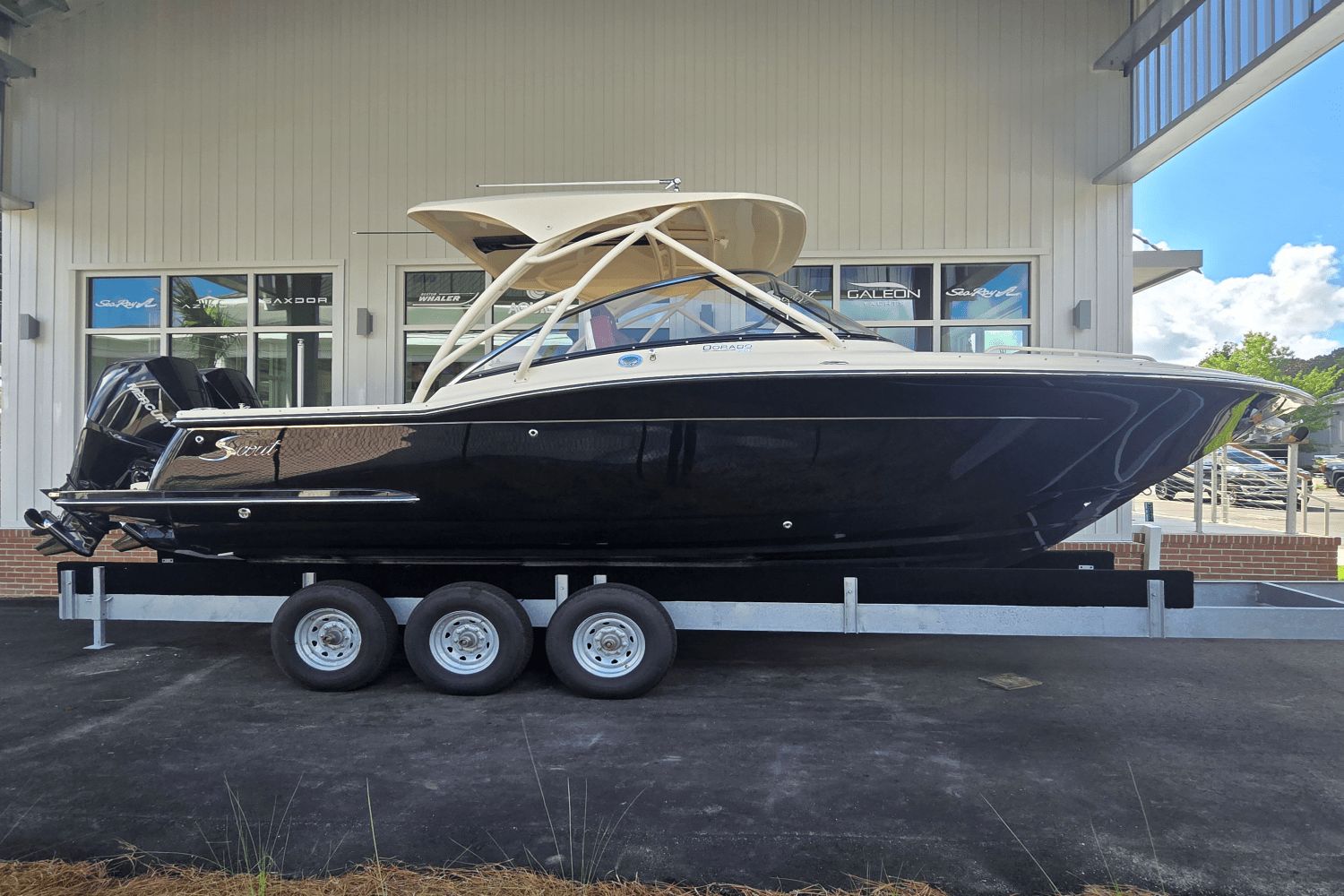 2026 Scout 255 Dorado