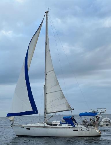 1988 Beneteau 350 Oceanis
