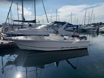 1998 White Shark 225