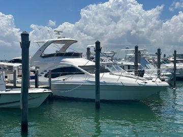 2008 Sea Ray 44 Sedan Bridge