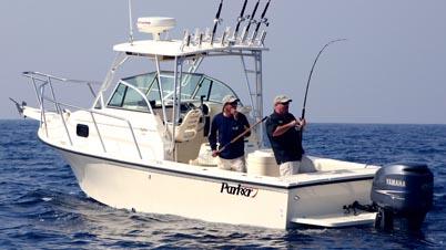 2008 Parker 2310 Walkaround