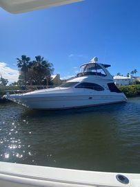 2008 Sea Ray 44 Sedan Bridge