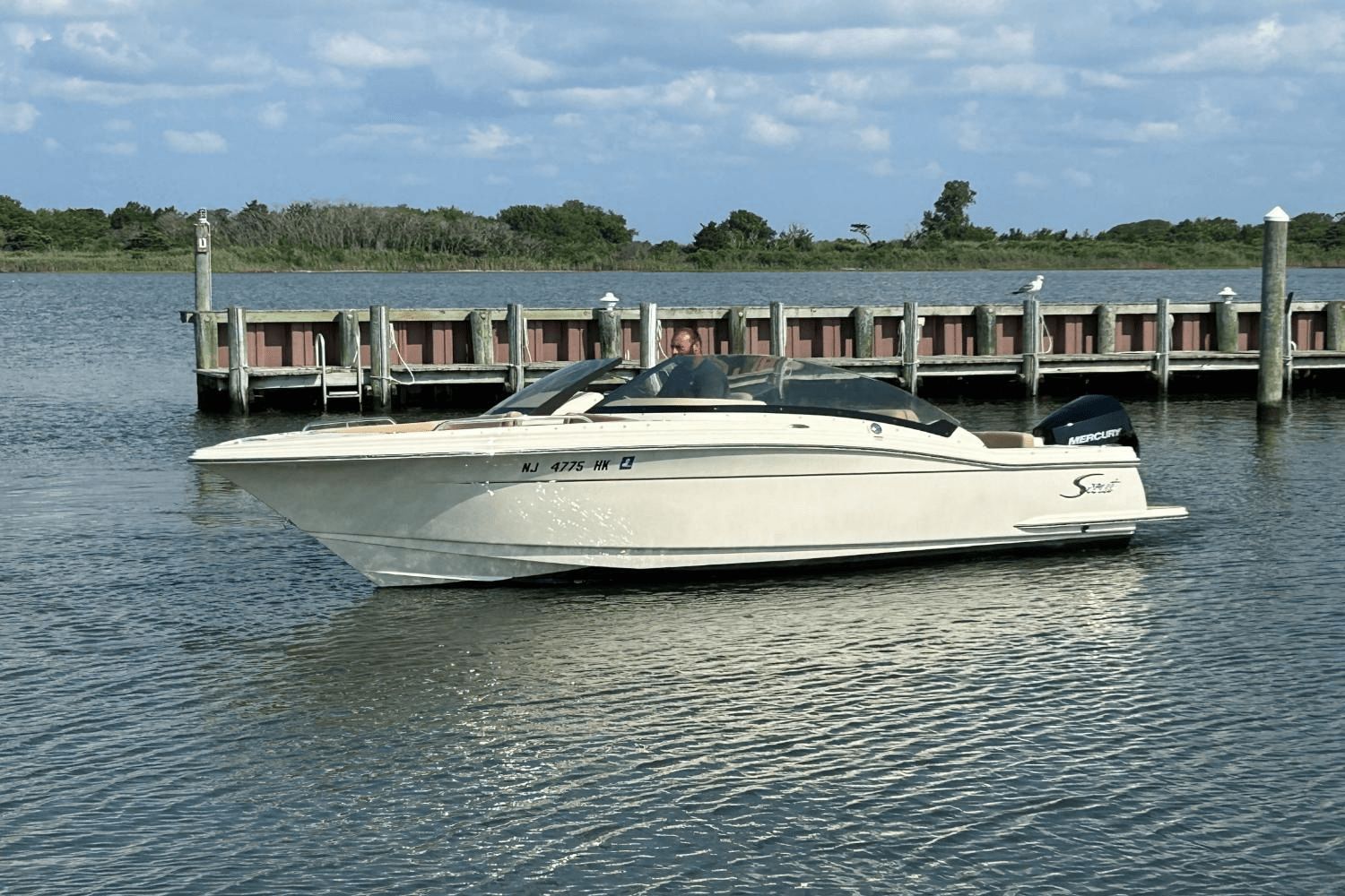 2022 Scout 215 Dorado