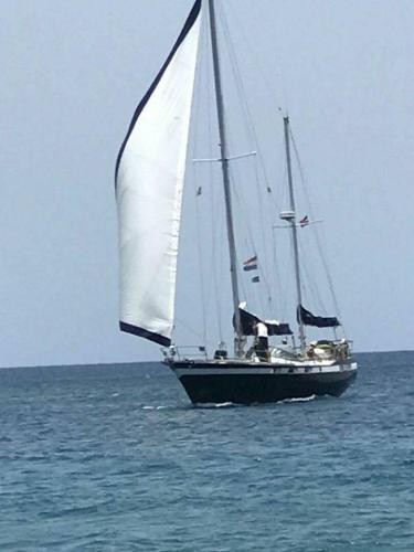 Wauquiez Amphitrite