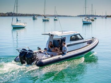 2025 Protector 310 Targa