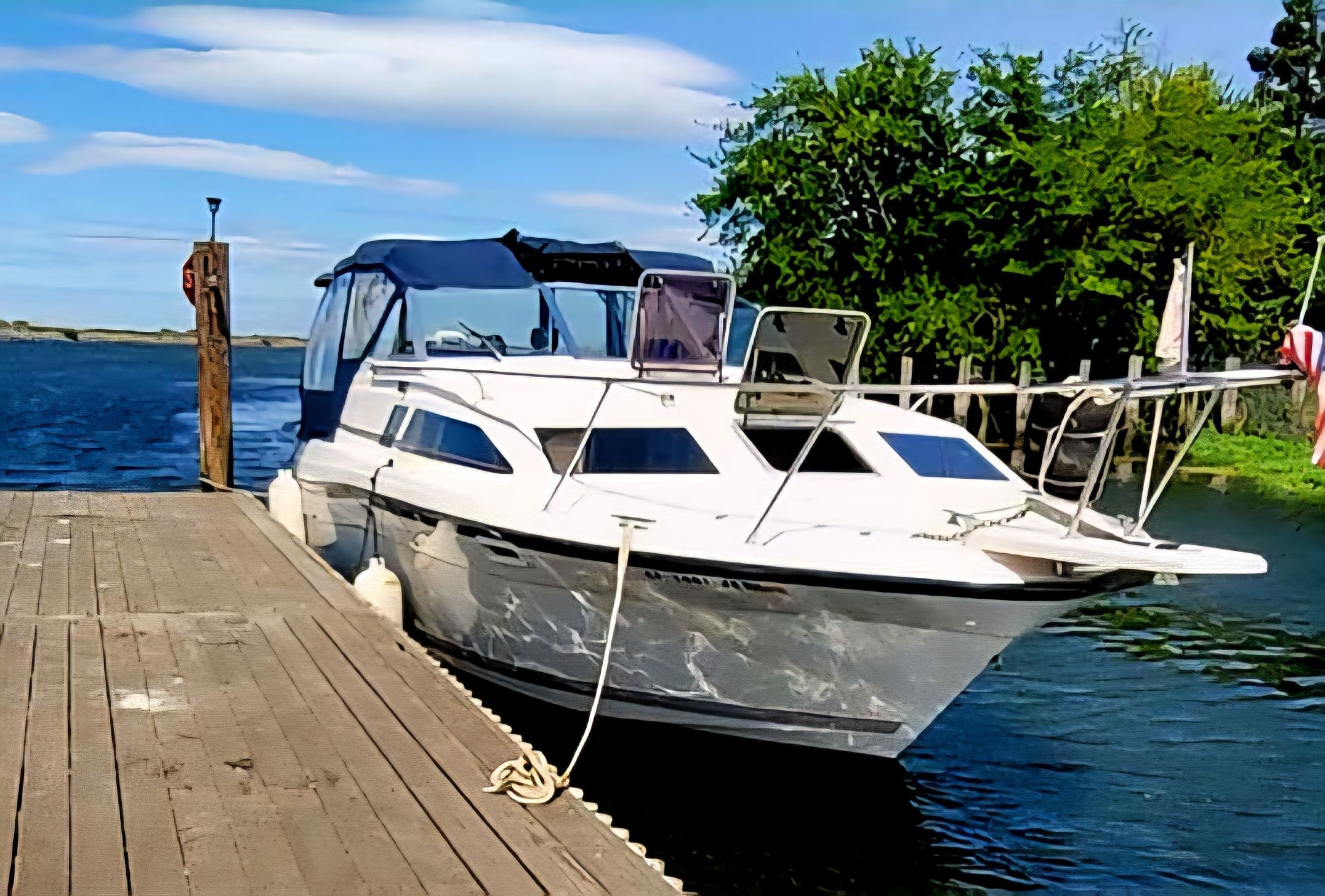 Bayliner Contessa