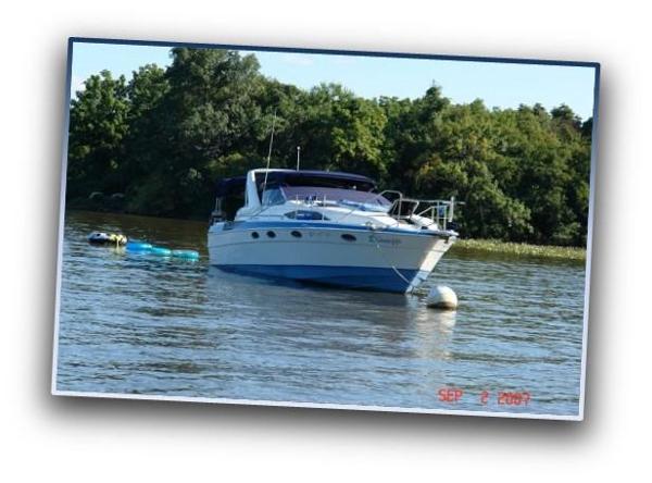 1988 Bayliner Avanti