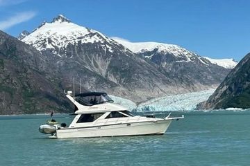 1999 Bayliner 3988 Motoryacht
