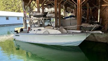 2016 Bertram Custom
