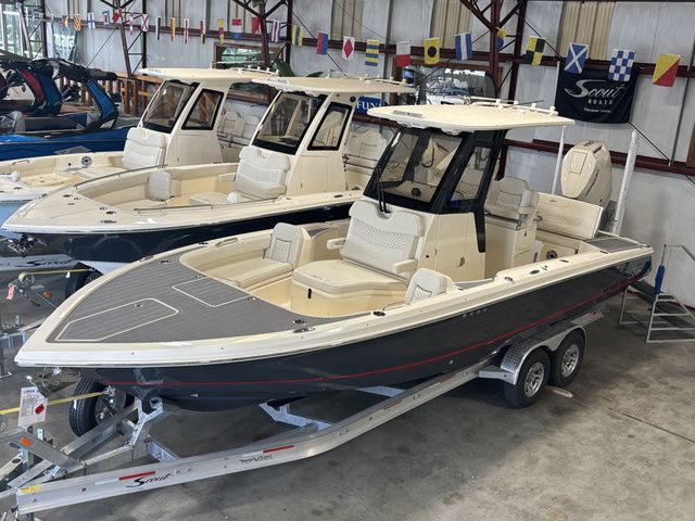 2025 Scout 281 XSS