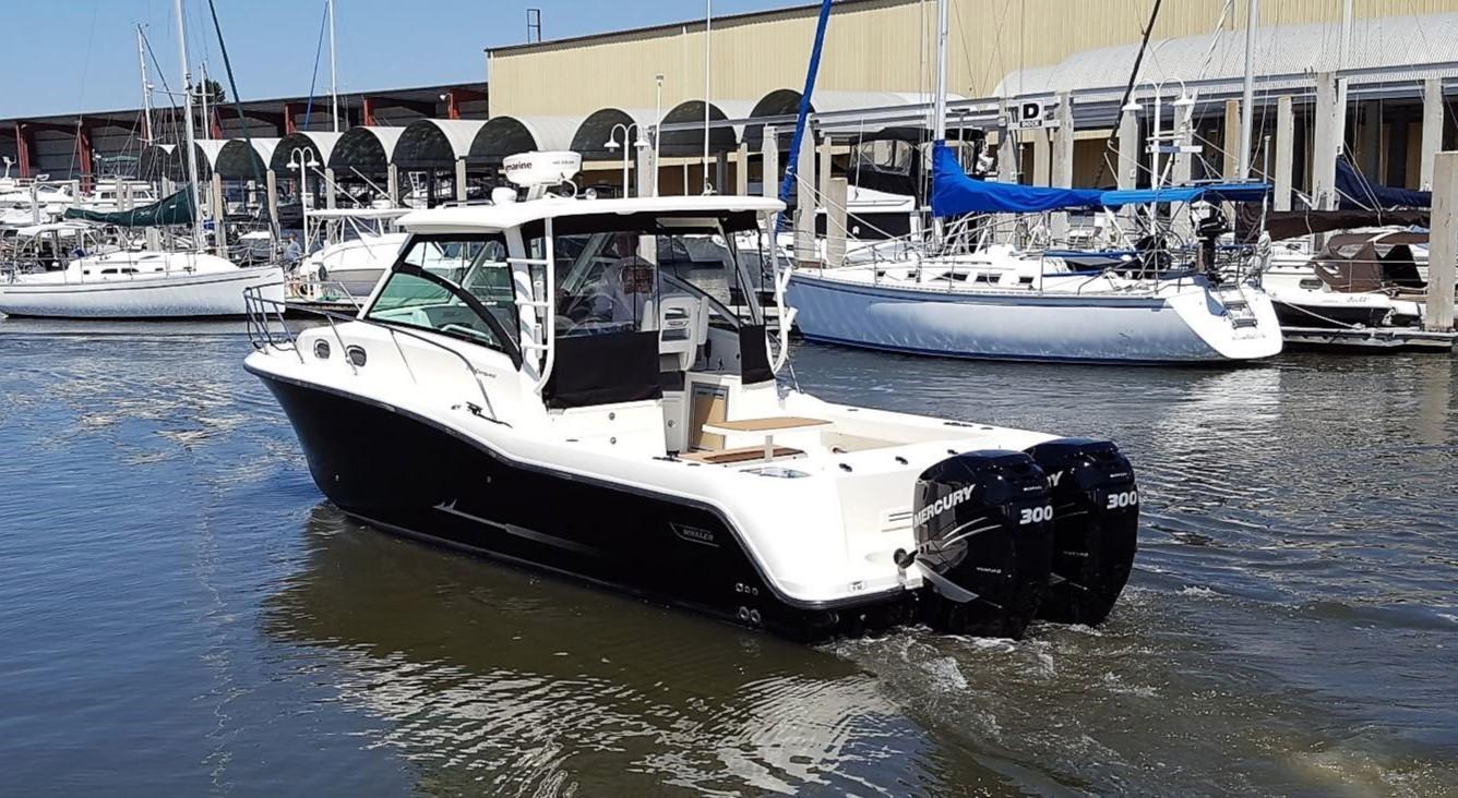 Boston Whaler 315 Conquest 2014 Boston Whaler 315 Conquest boat in marina, featuring dual Mercury engines.