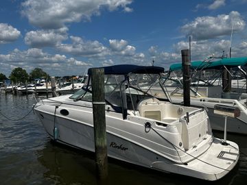 2004 Rinker Fiesta Vee 250