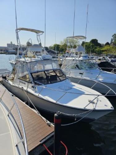 Carolina Classic Express Sportfisherman Carolina Classic