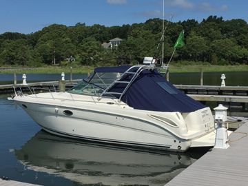2007 Sea Ray 290 Amberjack