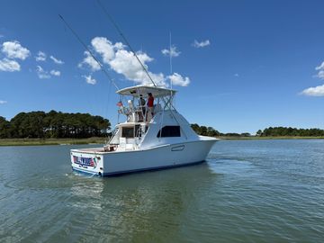 1979 Bertram 38