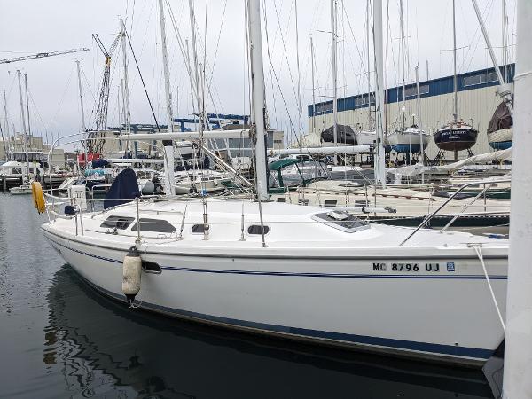 Catalina 310