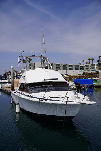1979 Bertram Flybridge Cruiser
