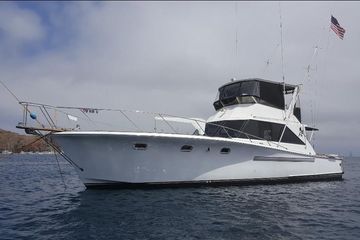 1974 Pacemaker 48 Sportfisherman