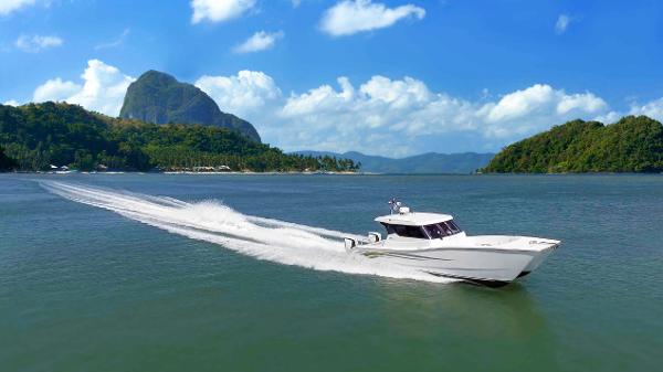 Custom SILVERCAT 34HT