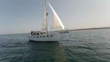 1984 Island Trader 40