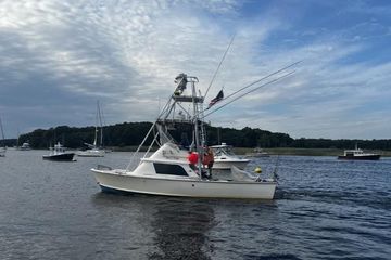 1975 Bertram 31