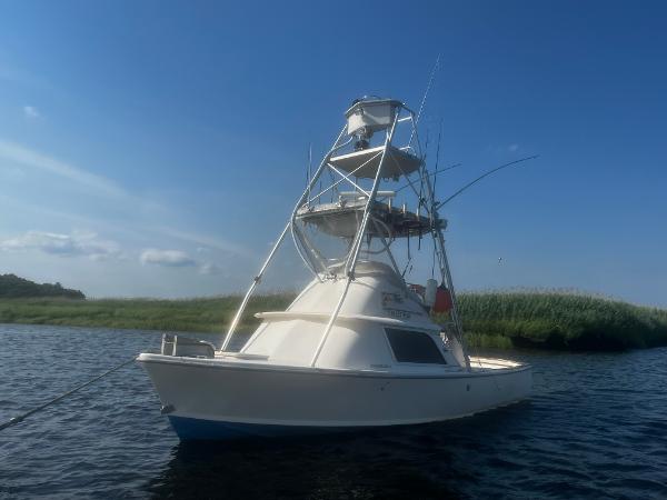 1975 Bertram 31