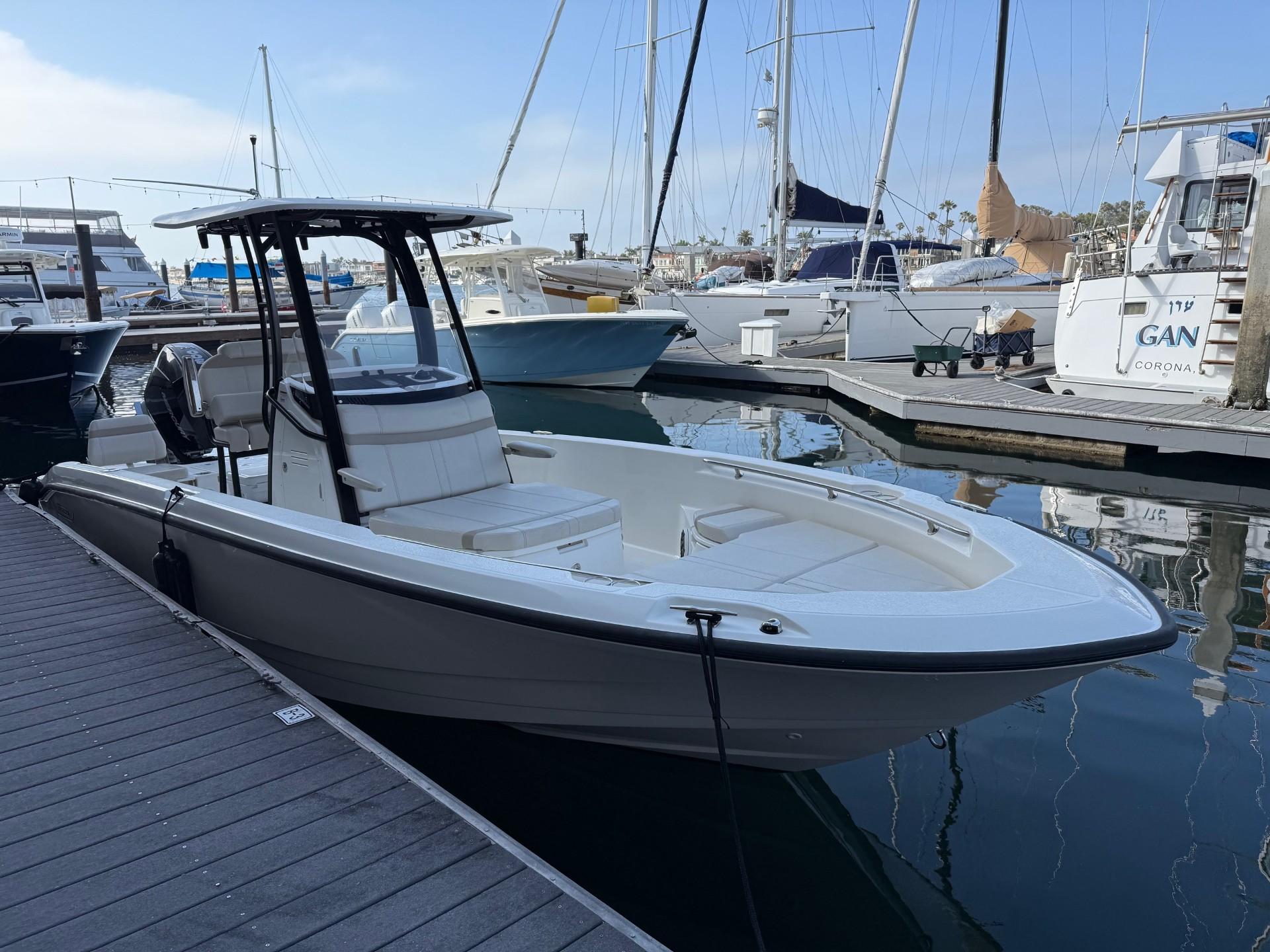 2024 Boston Whaler 250 Dauntless